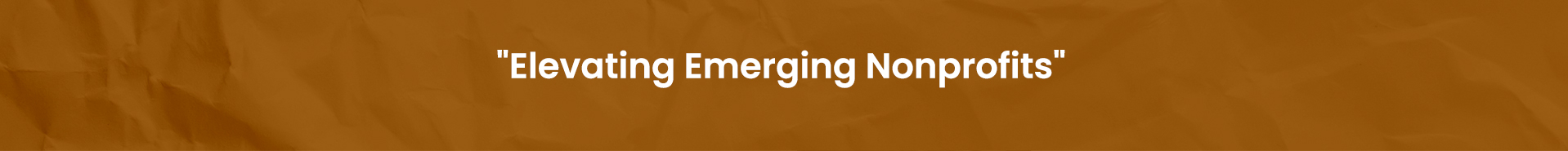 Elevating Emerging Nonprofits